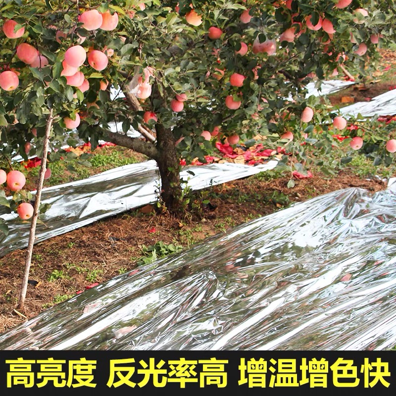重庆市黑白养殖膜果树反光膜 - 哪里好
